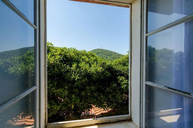 Apartment Pavo Dubrovnik Exterior photo