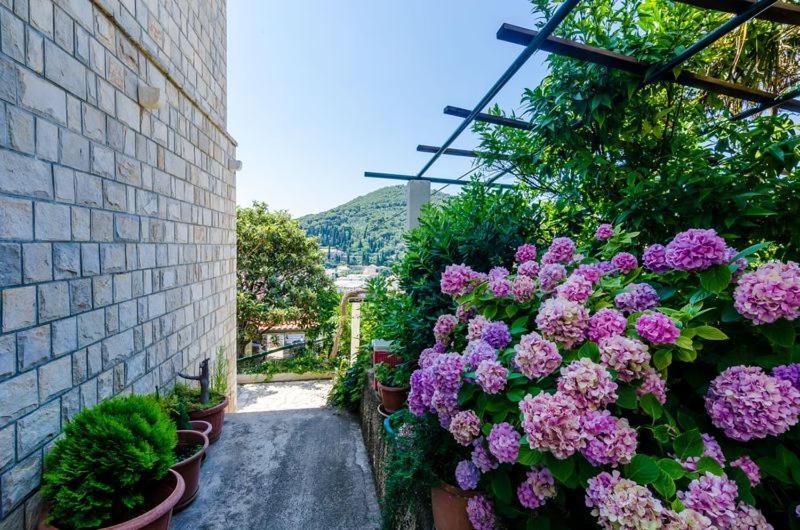 Apartment Pavo Dubrovnik Exterior photo